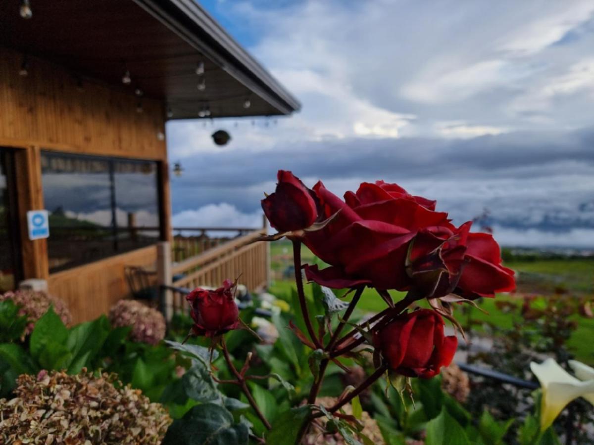 Hotel Cabanas Y Mirador Secret Garden Cr Cartago Ngoại thất bức ảnh